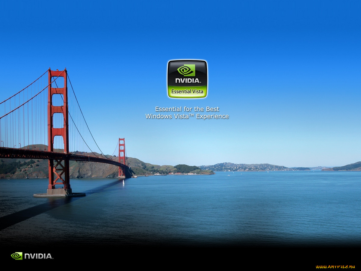 , nvidia